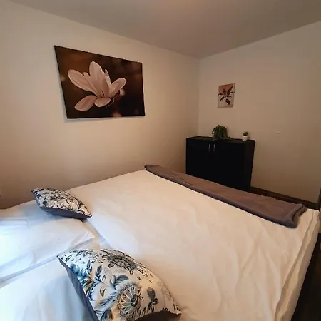 Apartmany Sunny Hill Frymburk nad Vltavou Exterior foto