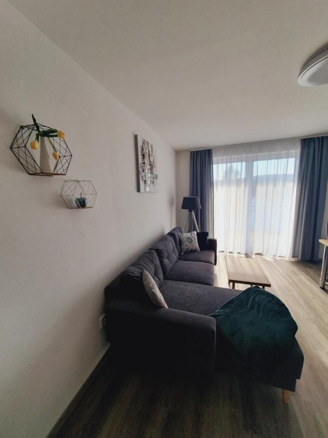Apartment Sunny Hill Frymburk